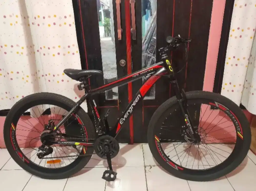 Sepeda gunung MTB evergreen