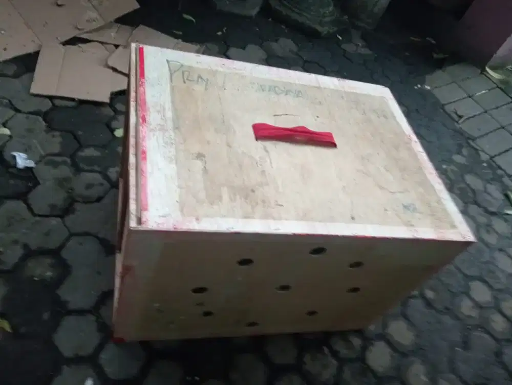 Box untuk kirim ayam seperti baru isi 2