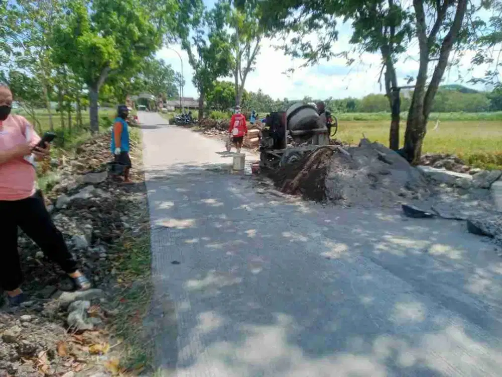 tanah sawah pinggir jalan bisa untuk usaha