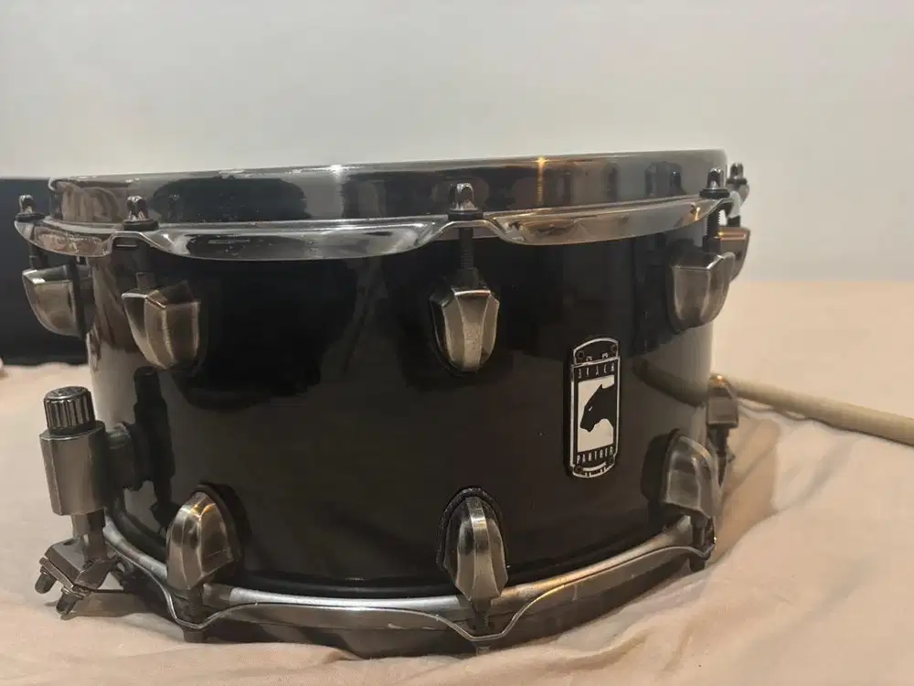 Snare Black Panther