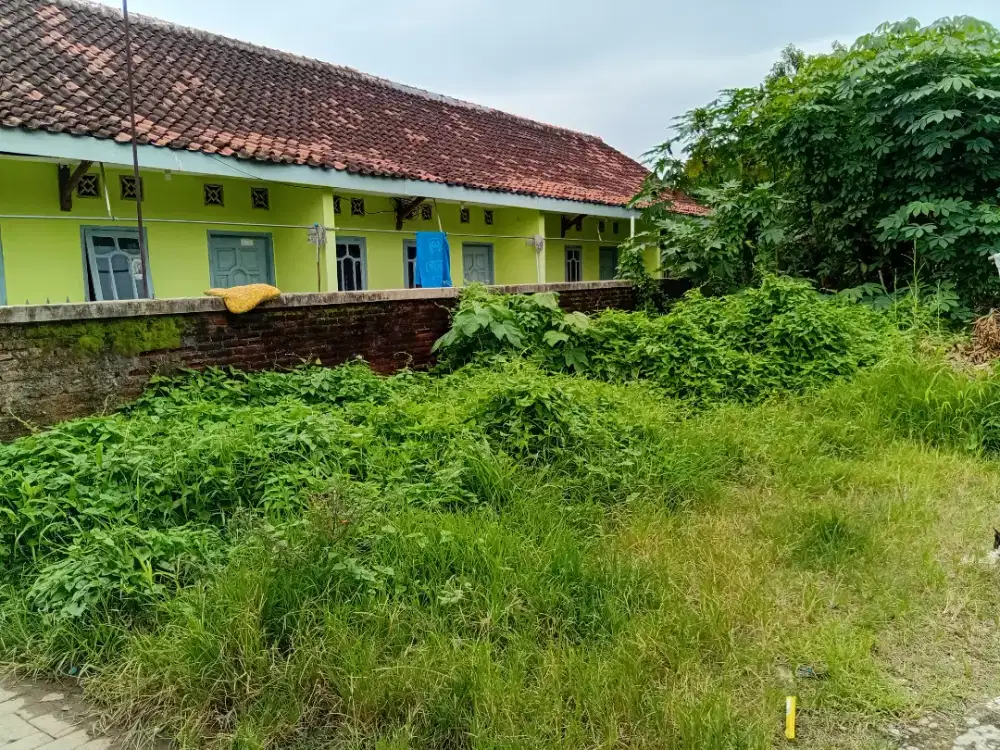 TANAH kosong Di kelapa Dua lontar