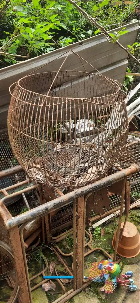 kandang burung ama kucing bahan besi