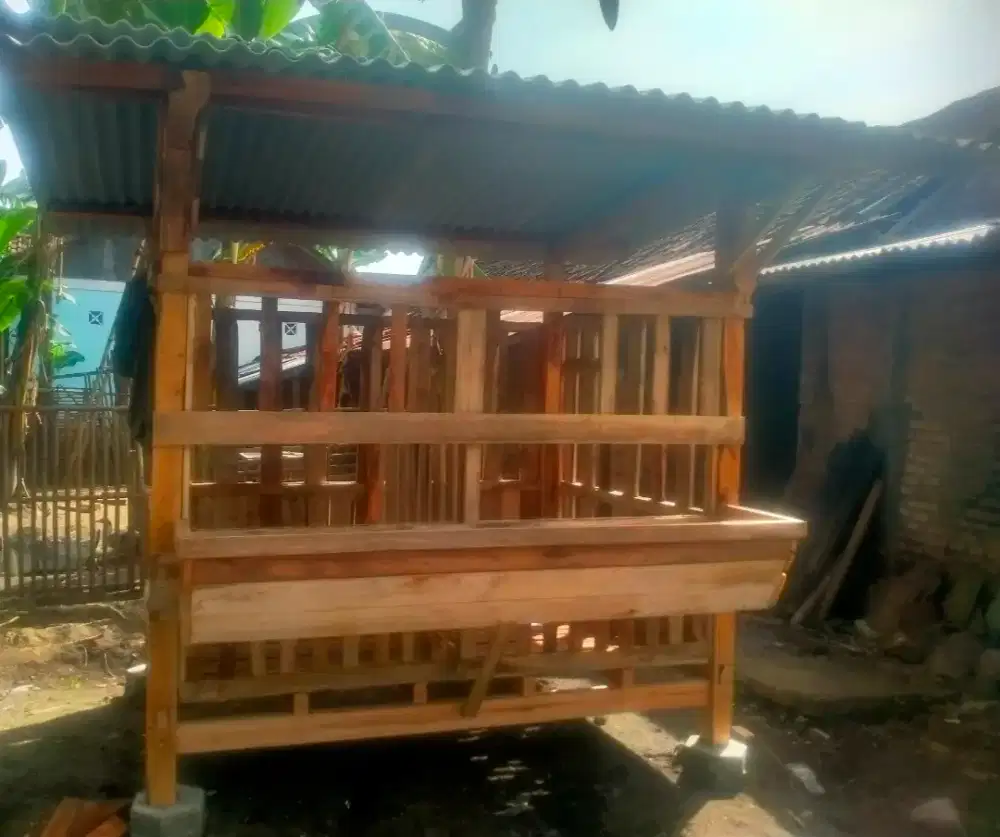Kandang kambing 2x1,5 bakoh ekonomis