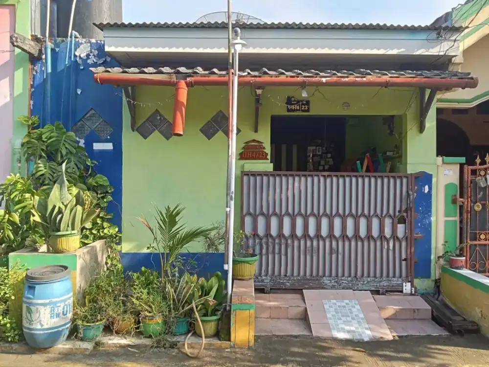 Rumah Minimalis 1 Lantai