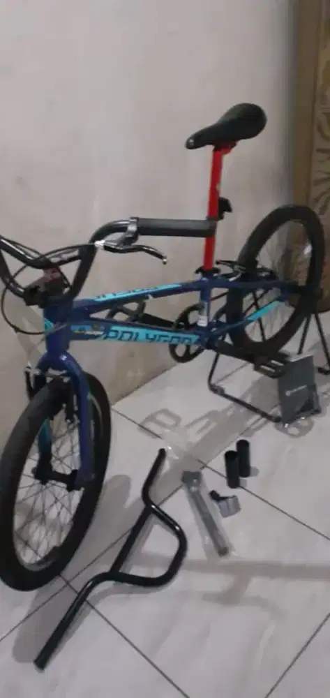 pollygon Rogue uk 20