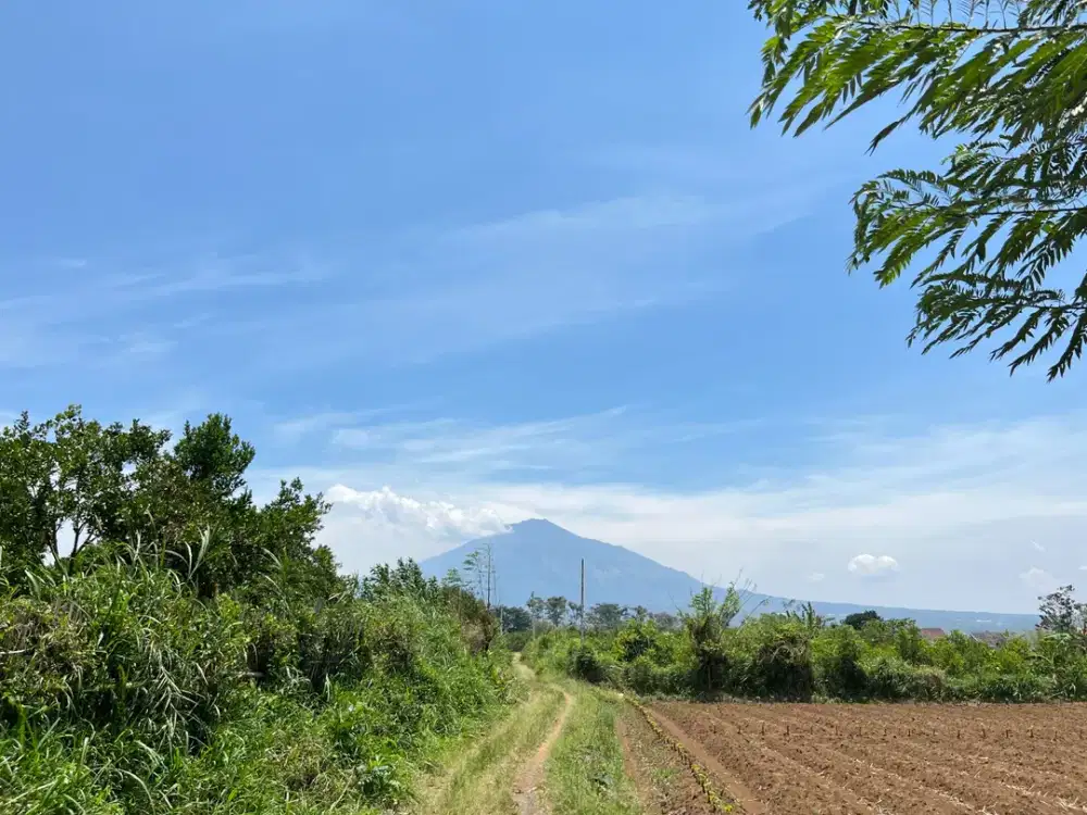 Tanah Kavling 100 Jutaan Kota Malang, 7 Menit Kampus UMM Muhammadiyah