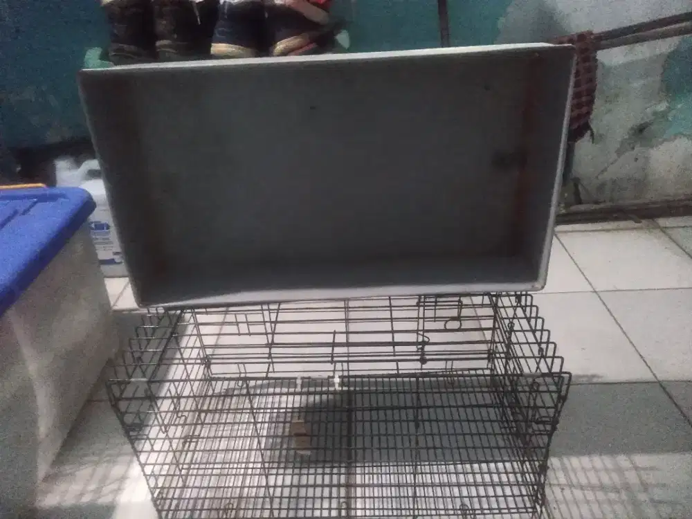 Kandang kucing atau kelinci