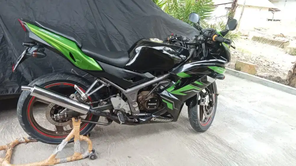 Kawasaki ninja RR 2015
