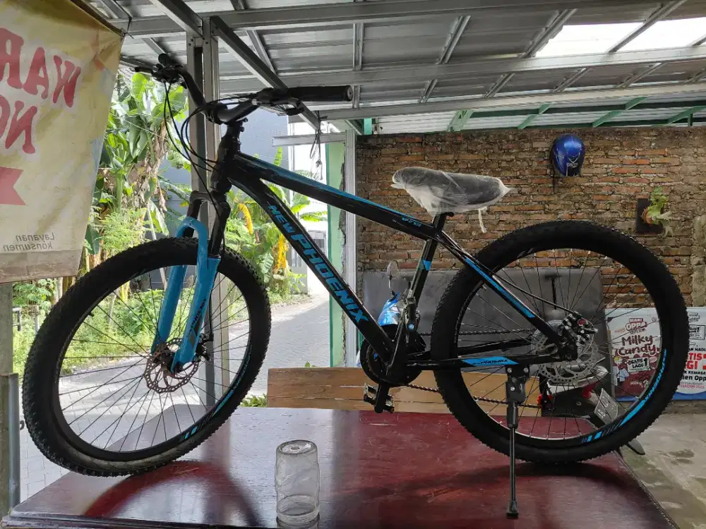 MTB NEW PHOENIX 26 [NEGO]