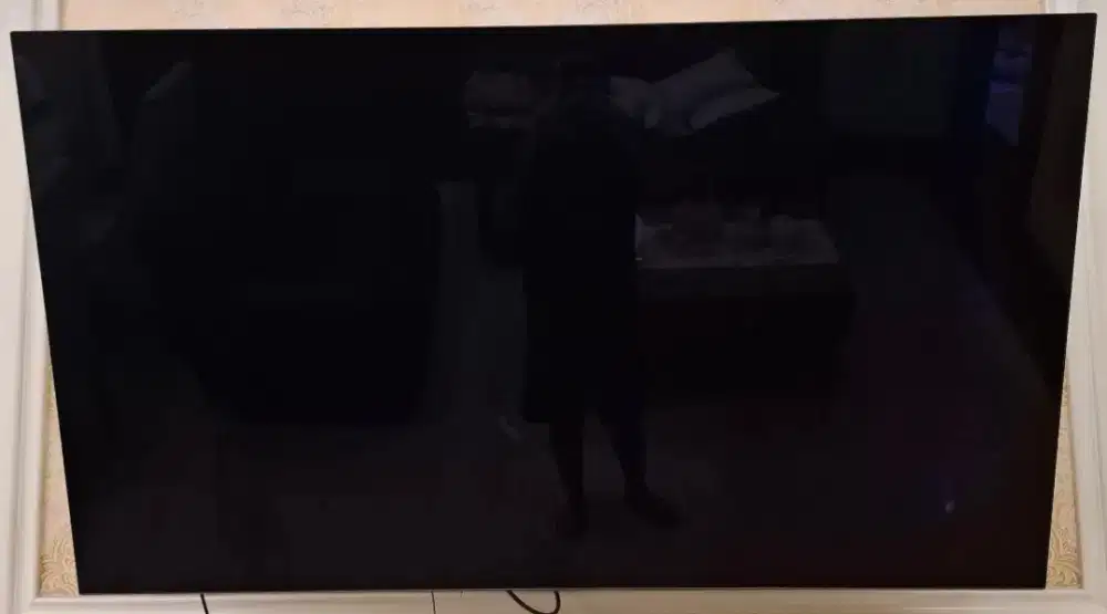 Di jual tv oled Lg 65