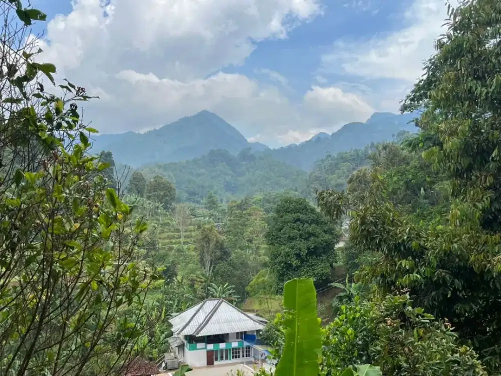 Dijual Murah Tanah Pinggir Jalan Besar Udara Dingin Purwakarta