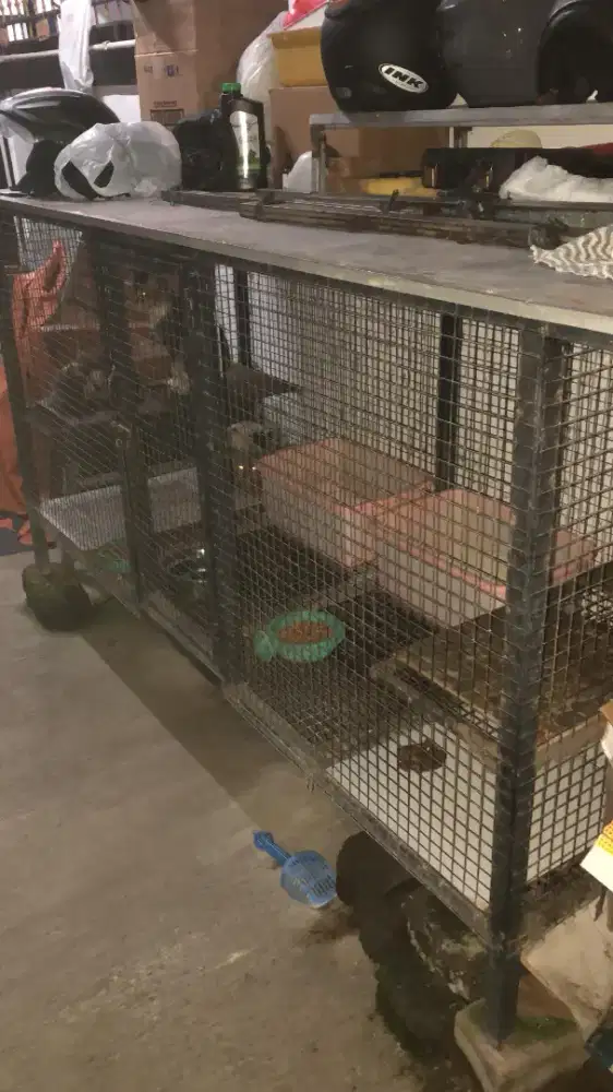 Kandang kucing / anjing