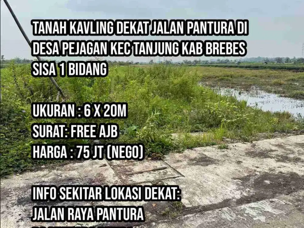 Tanah Kavling Dekat Jalan Pantura Di Desa Pejagan Tanjung Brebes