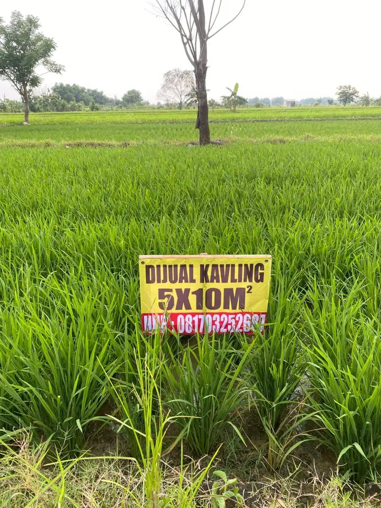 Jual Kavling Pesona rayung 5x10 perbatasan Surabaya/Kedamean,Rayung