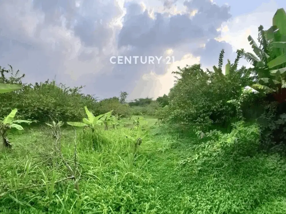 Dijual Cepat Tanah Datar Cocok Untuk Cluster Dekat Stasiun