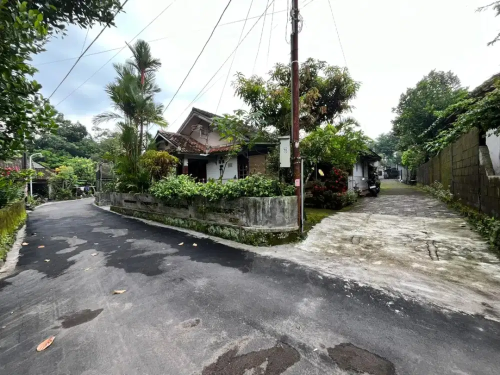 (BU) Tanah Sleman Wajib Terjual Bulan Ini. Bonus Pohon Durian Montong Seumur Hidup