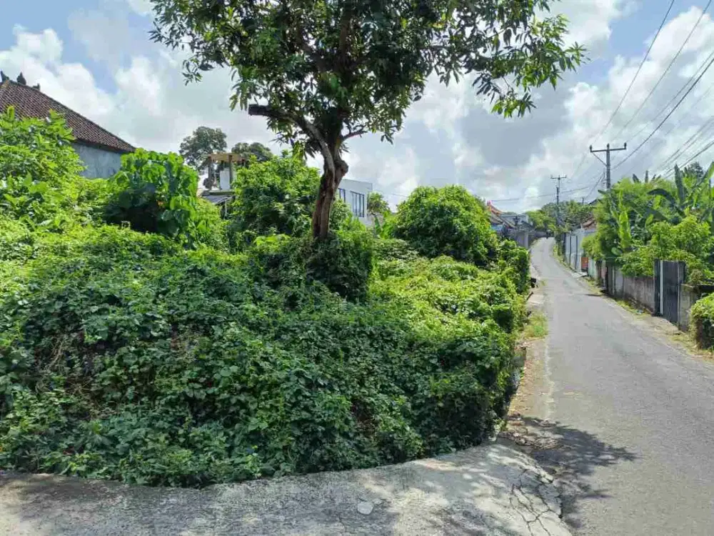 Land for Sale Prime Location – Canggu, Tumbak Bayuh