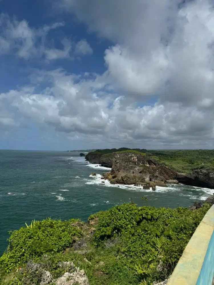 Translator Mandarin English