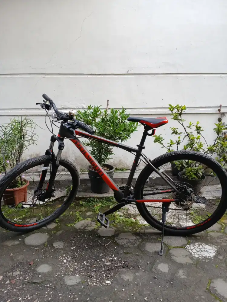 Sepeda MTB polygon Cascade 3