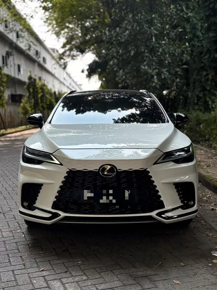 LEXUS RX 500H 2024