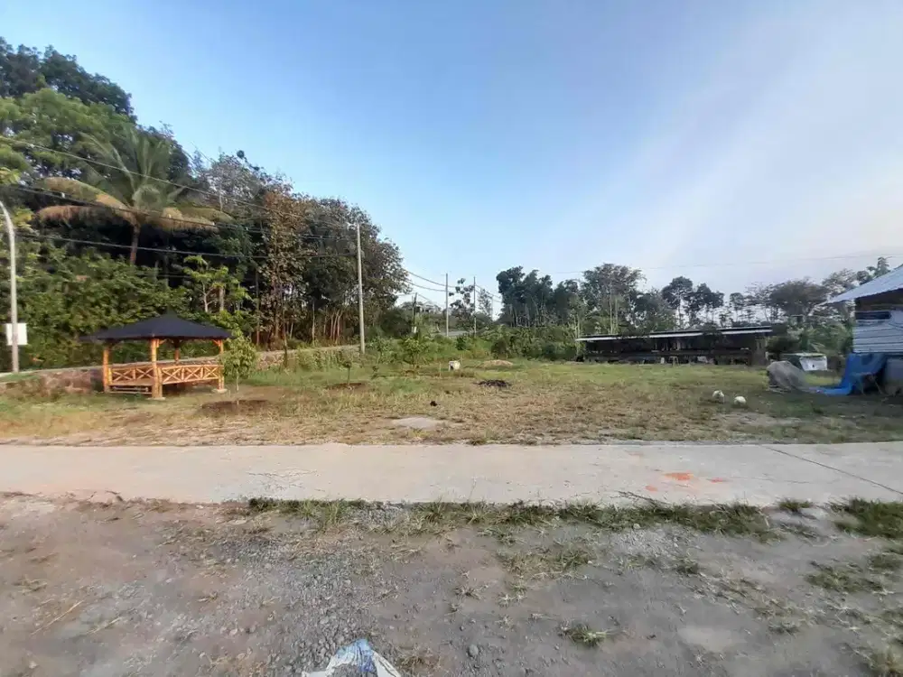 Tanah Murah Untuk Perumahan