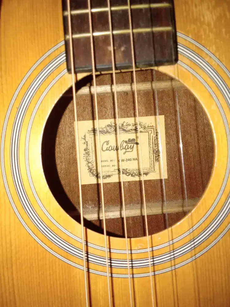 FOR SALE GITAR COWBOY ORI GW240 NA