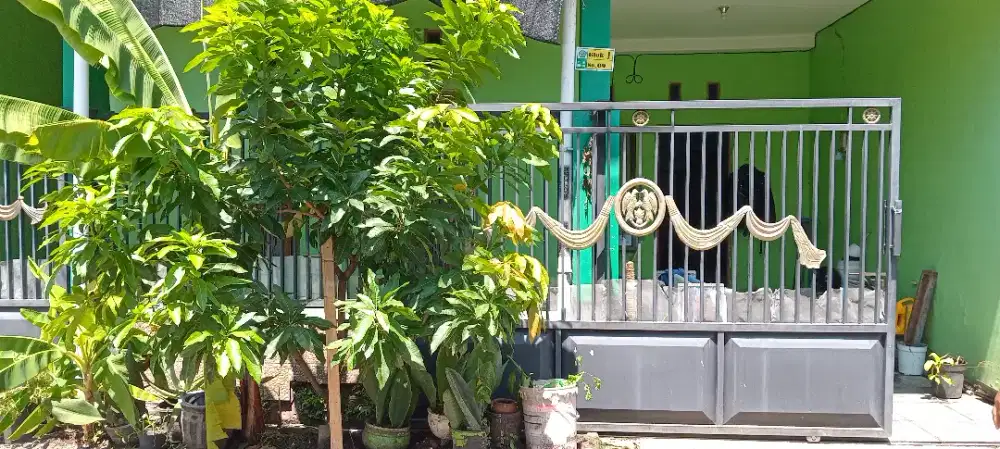 Di sewekan rumah minimalis