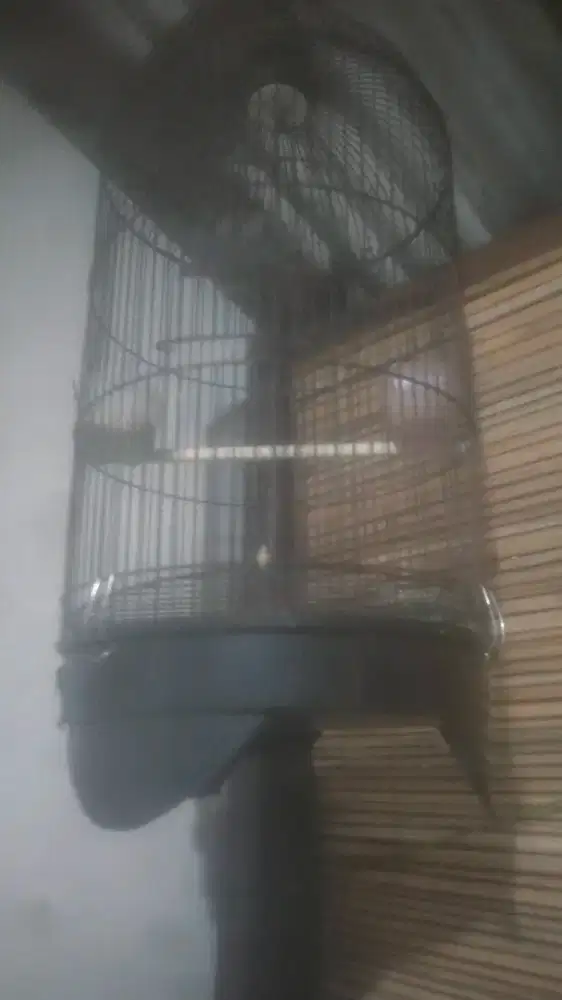 Kandang burung Lovebird merk best