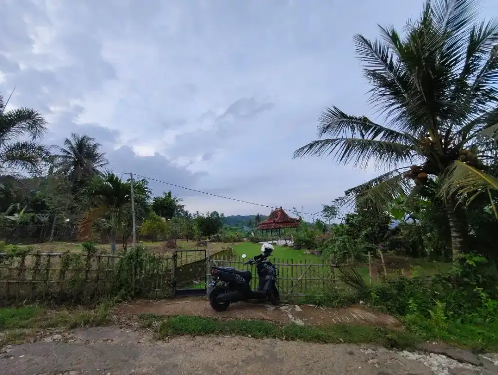 Dijual Tanah Kebun durian view yang Asri