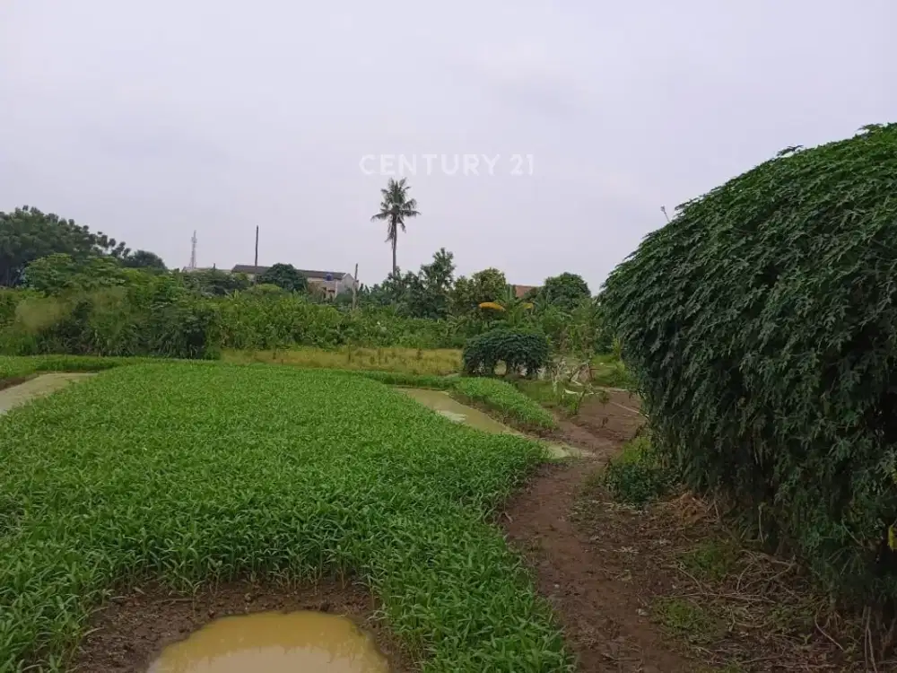 Jual Cepat Lahan Luas Siap Dibangun Area Cimone Tangerang