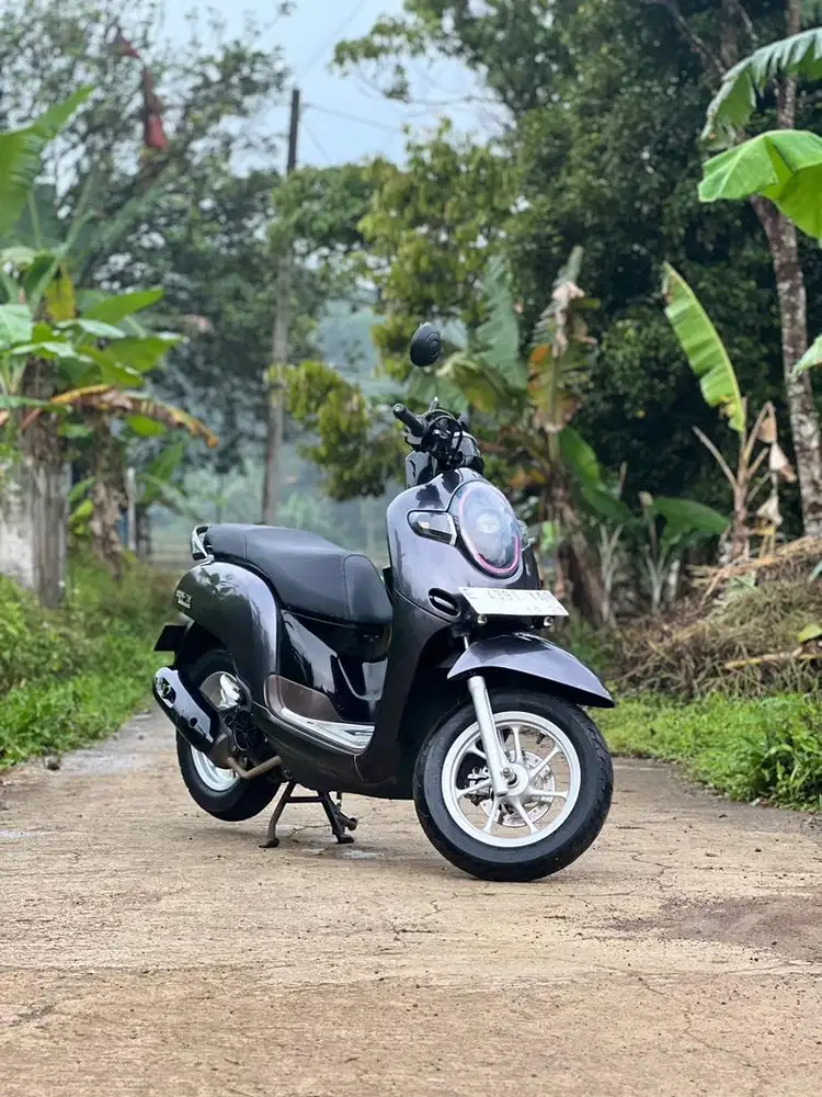 Honda Scoopy 2018