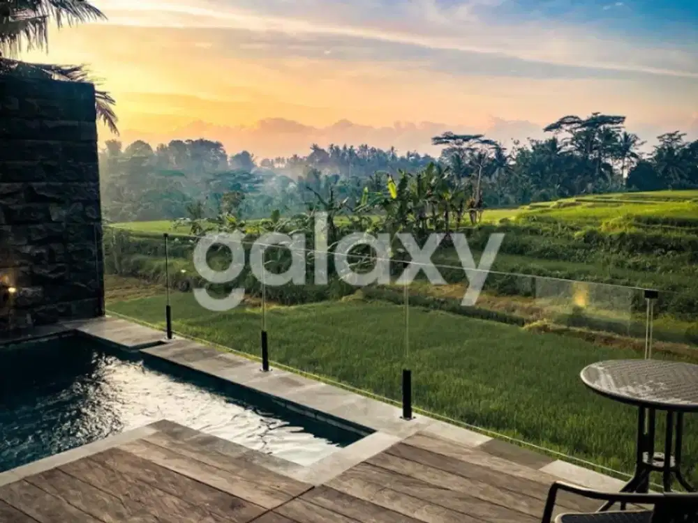 VILLA RICE FIELD DI PACUNG SELAT ABIANSEMAL MENGWI BADUNG, BALI