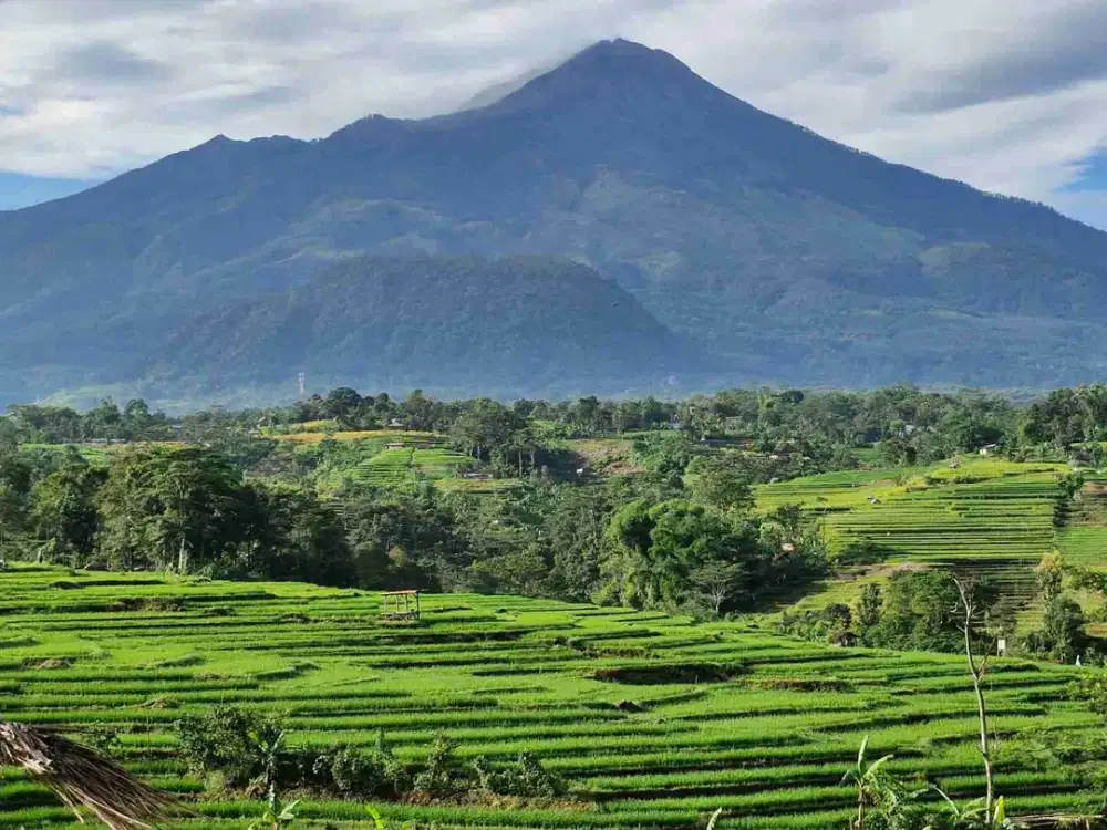 DI JUAL TANAH VIEW GUNUNG B.U CEPAT SHM 4.389 M² 700 JT