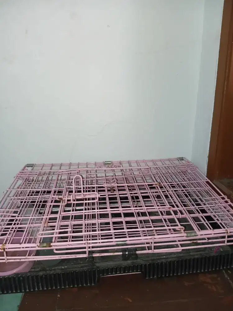 Kandang kucing like new