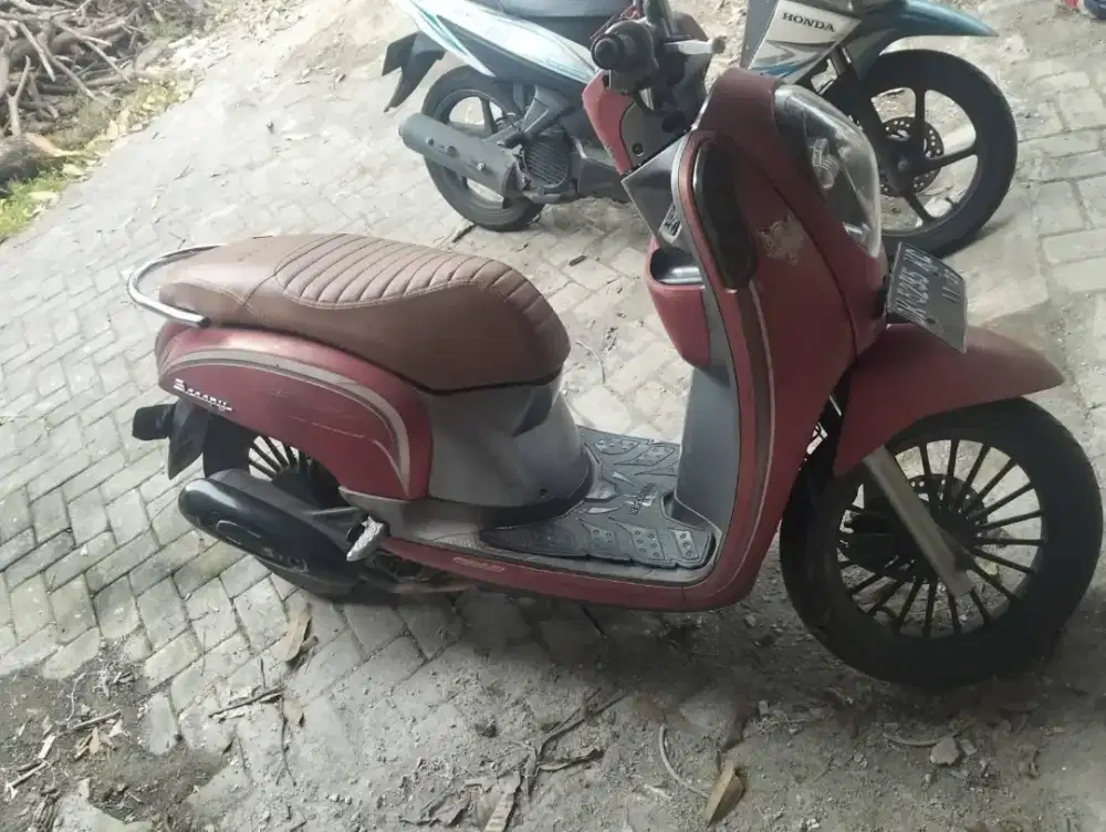 Scoopy Jual Murah BUC