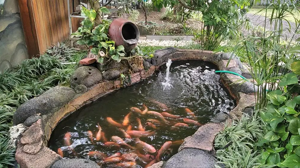 Pembuatan taman hunian dan Aviari