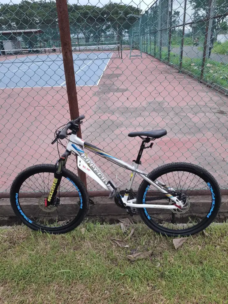 Polygon xtend limited edition