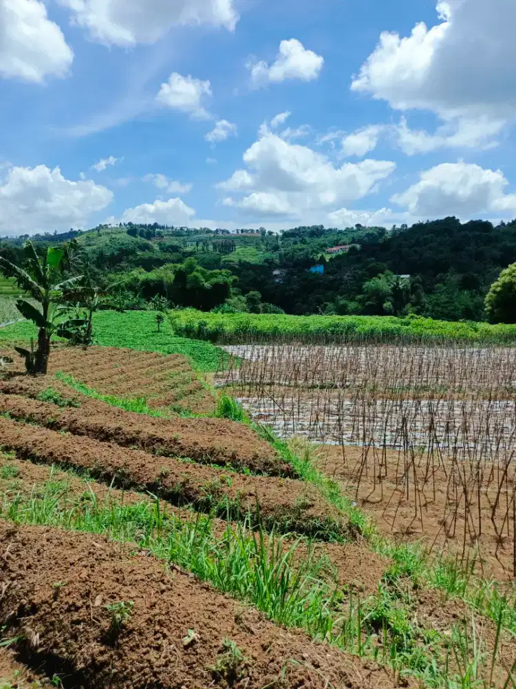 Tanah Produktif 3050 M SHM ready