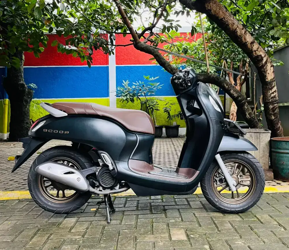 Honda scoopy prestige