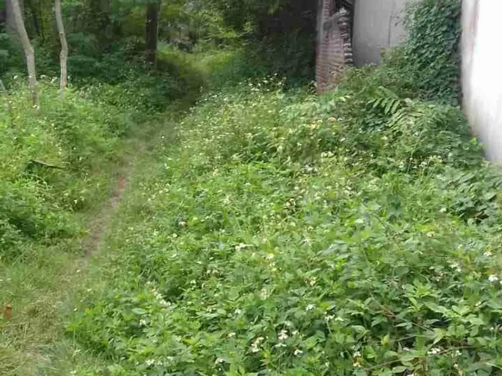 Jual Tanah Kosong di Tanjung Kait Tanjung Anom Mauk Tangerang