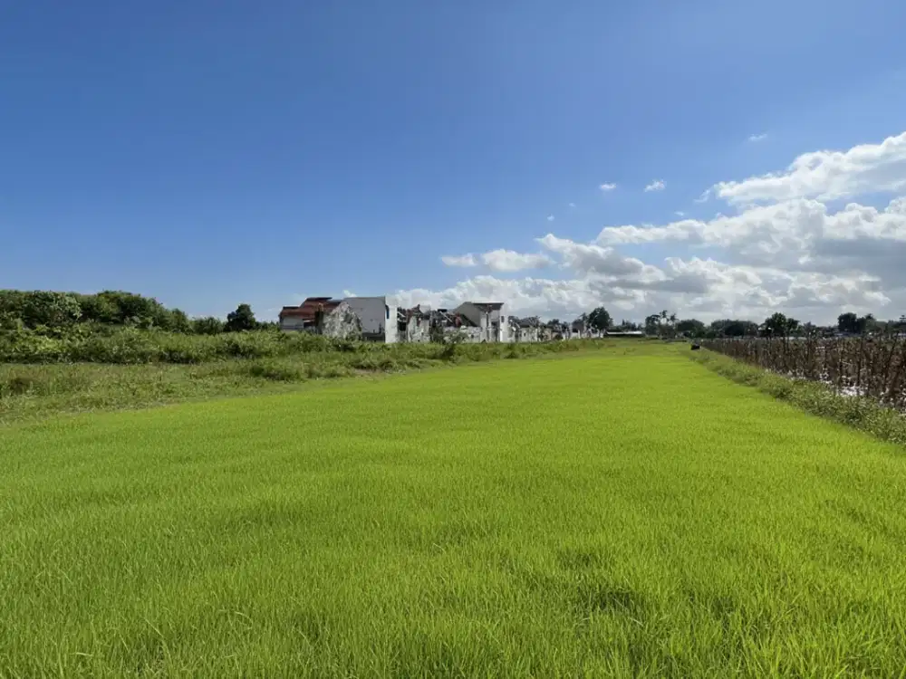 Tanah SHMP Godean Strategis Dekat UMY