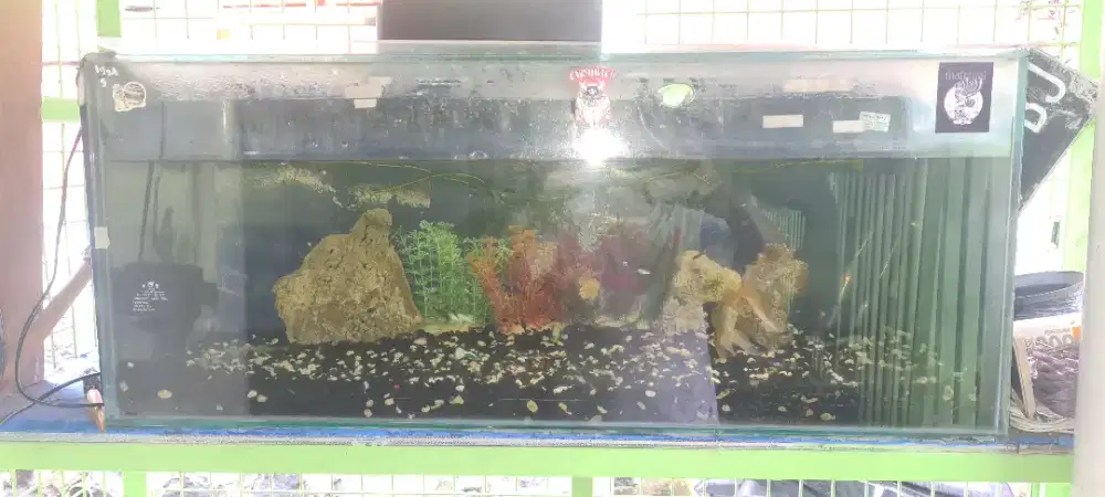 Di jual aqurium