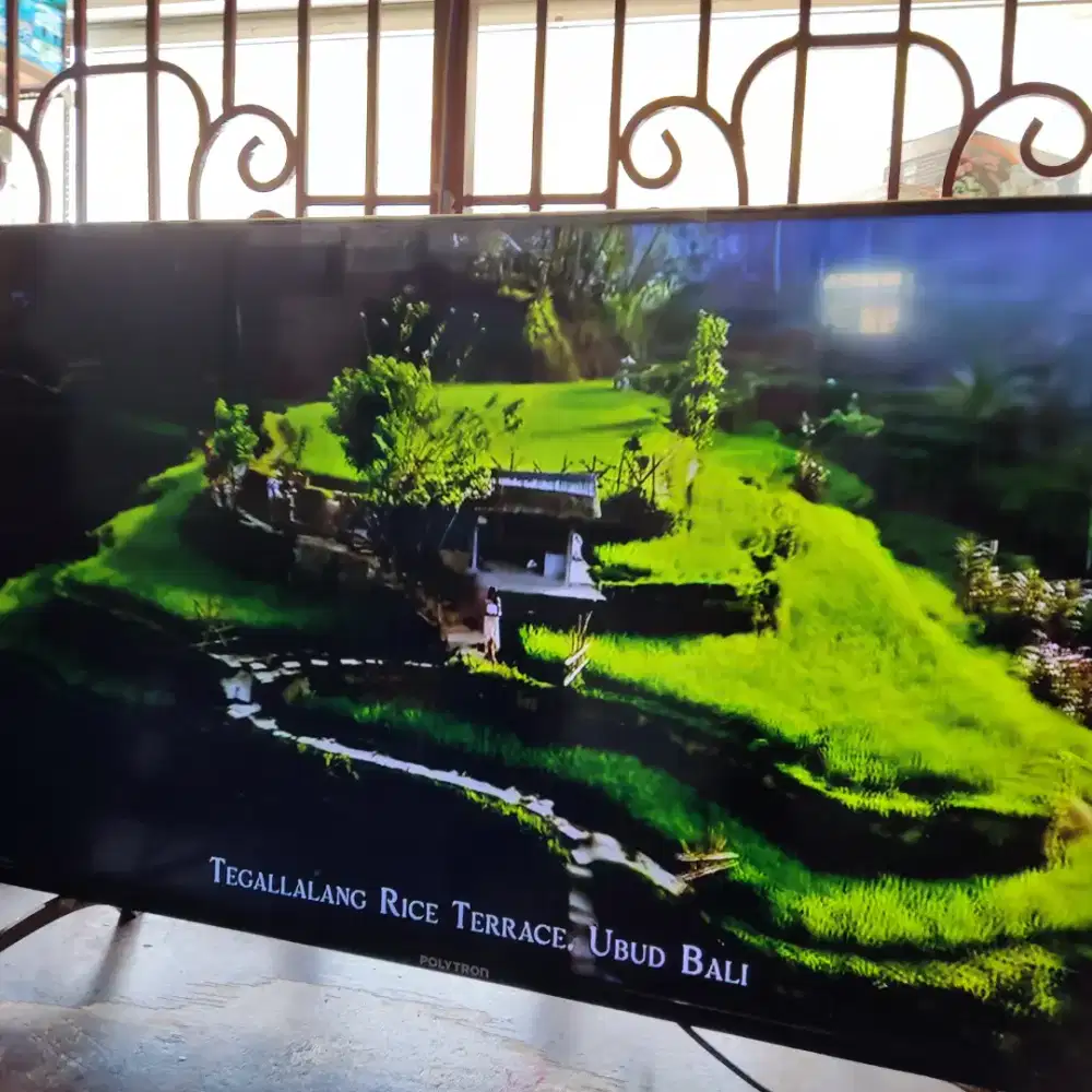 Android TV Google TV Youtube TV POLTRON 43 inc