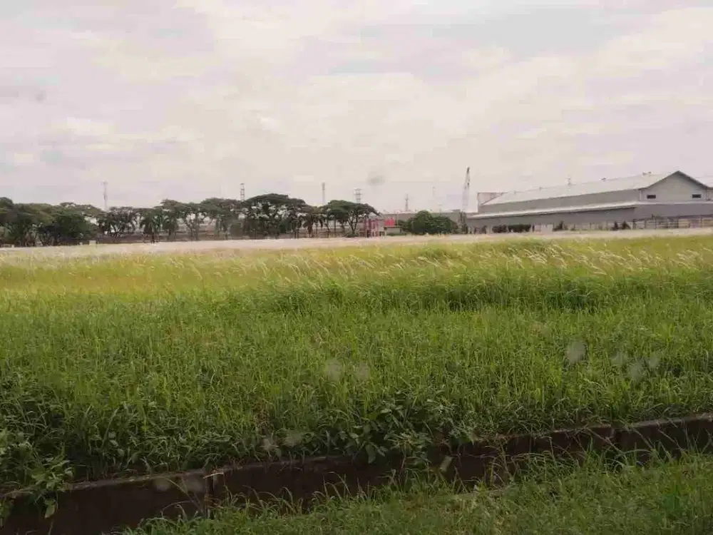 Di jual Tanah Kaveling di Komp. Pergudangan Marunda Centre. Bekasi