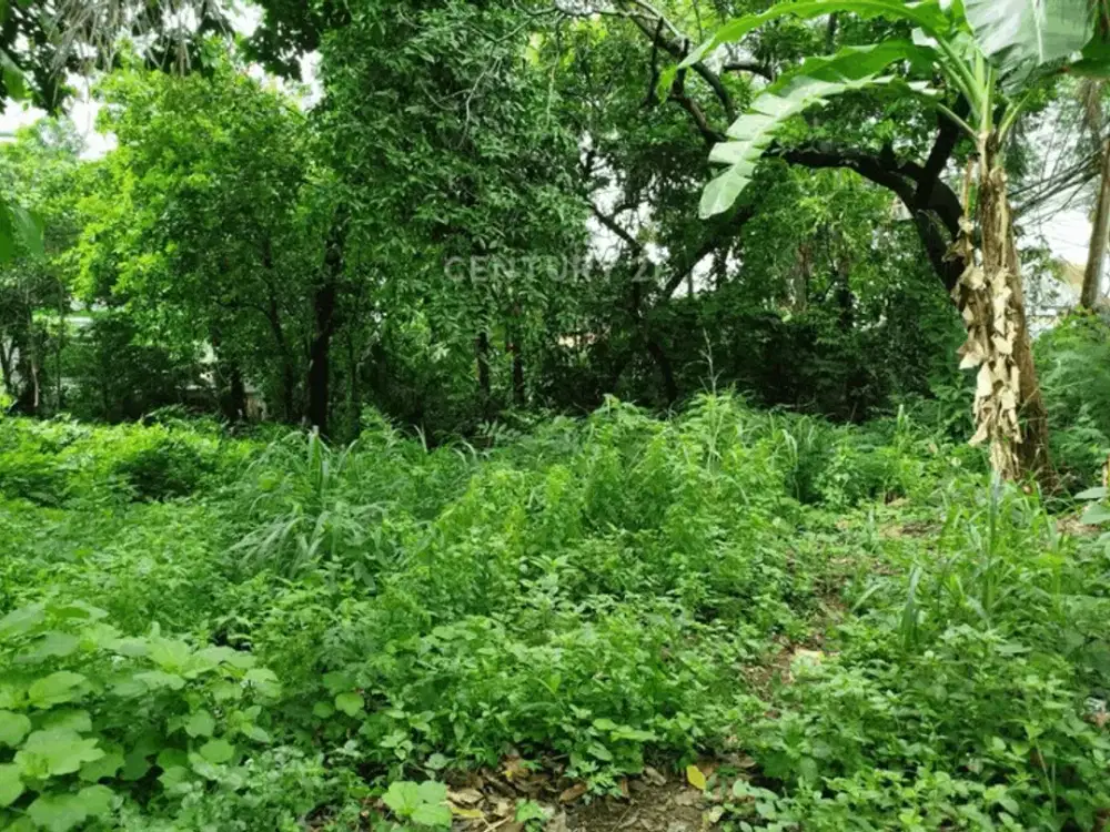 Tanah Kavling Bagus Dan Strategis Di Bintara Bekasi Barat