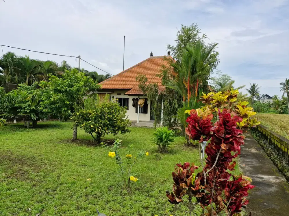 Villa leasehold 15 tahun view sawah di ubud