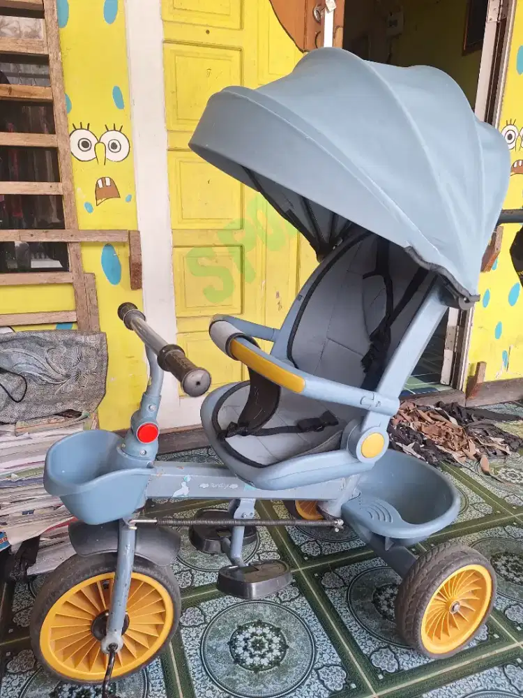 Sepeda stroller anak