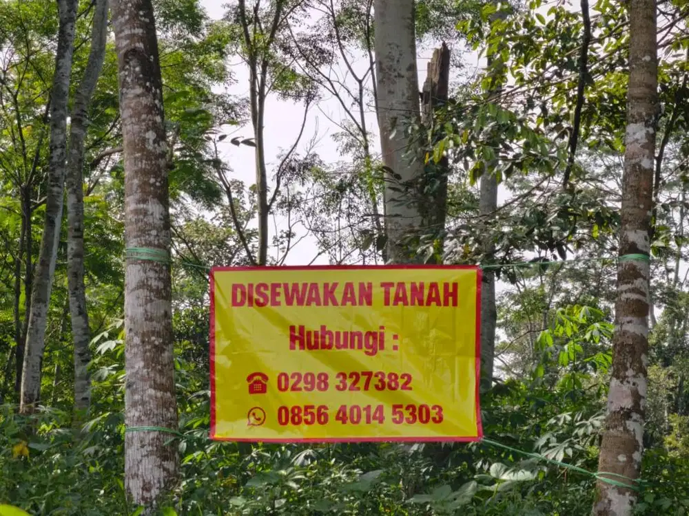 DISEWAKAN - TANAH STRATEGIS, HARGA MENARIK