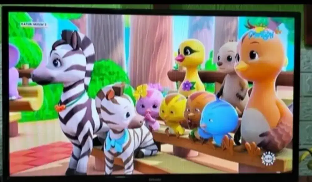 LED SHARP 29 INCI ANALOG