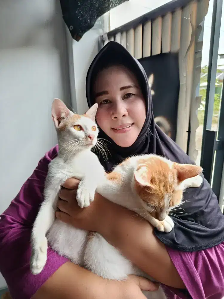 Saya cari  kerja freelance